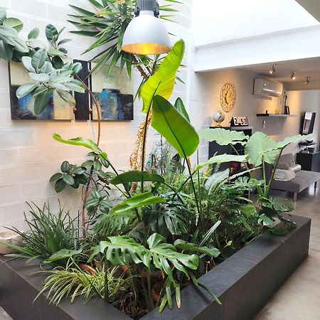 Loft Carrasketa Διαμέρισμα Alfafara Εξωτερικό φωτογραφία