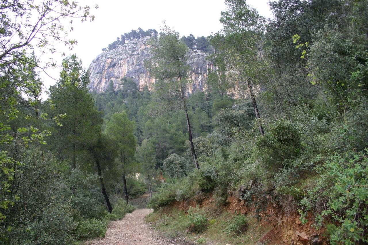 Loft Carrasketa Διαμέρισμα Alfafara Εξωτερικό φωτογραφία