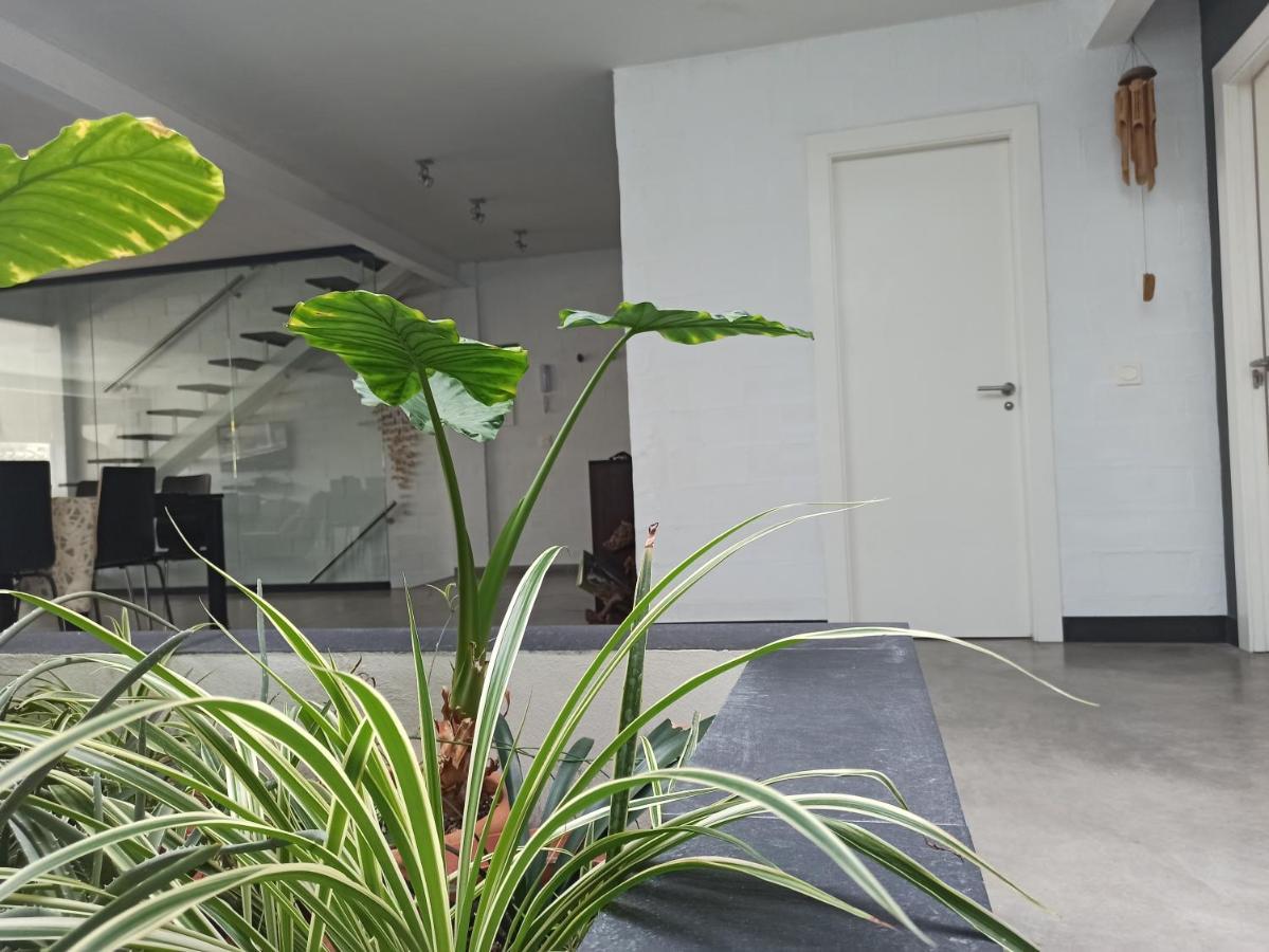 Loft Carrasketa Διαμέρισμα Alfafara Εξωτερικό φωτογραφία