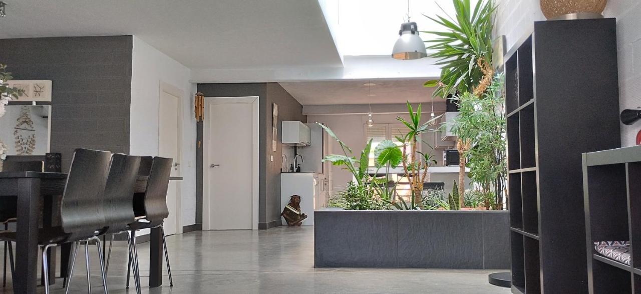 Loft Carrasketa Διαμέρισμα Alfafara Εξωτερικό φωτογραφία