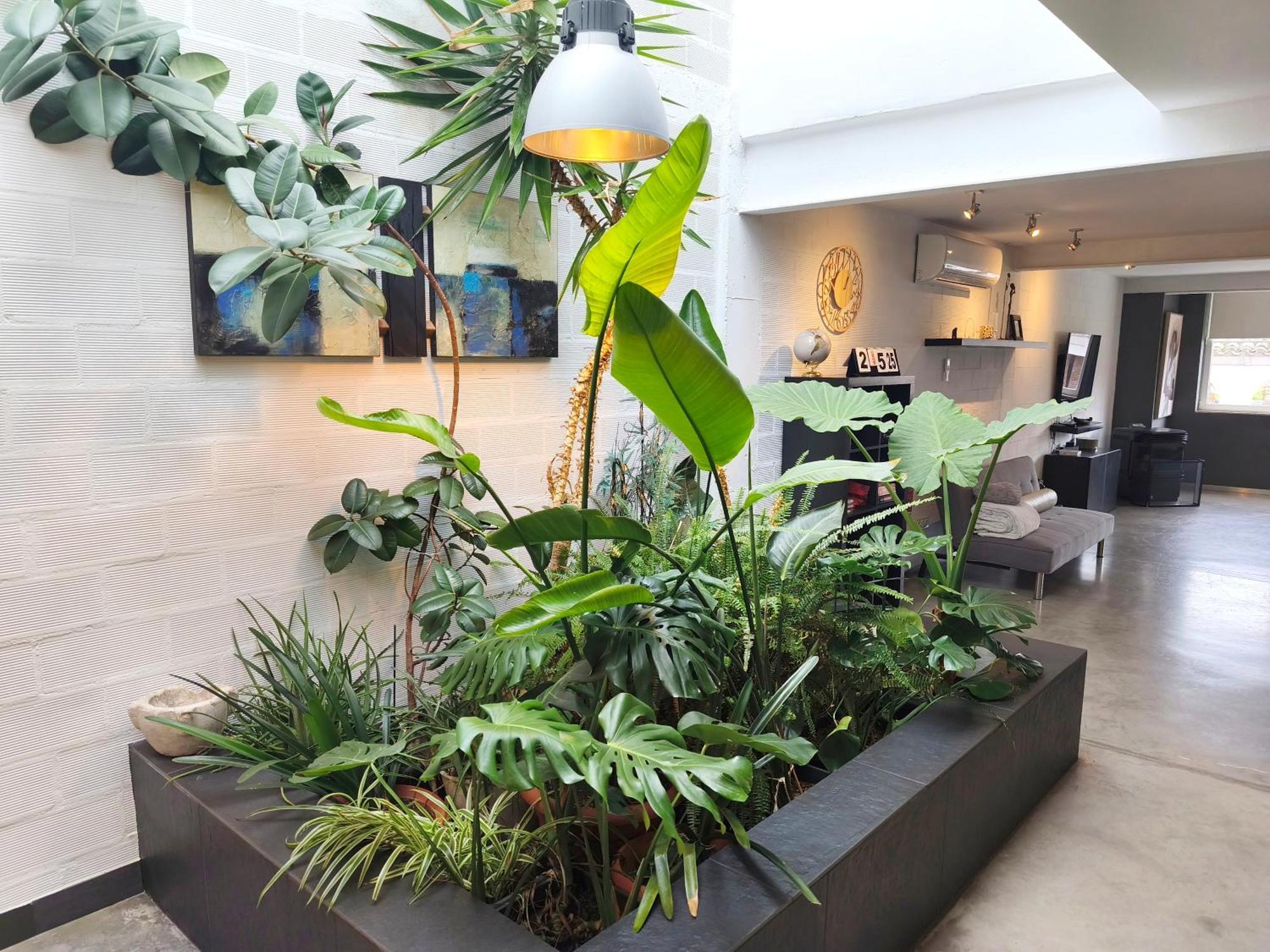 Loft Carrasketa Διαμέρισμα Alfafara Εξωτερικό φωτογραφία